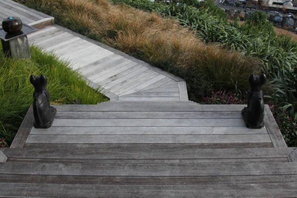Hills deck grasses