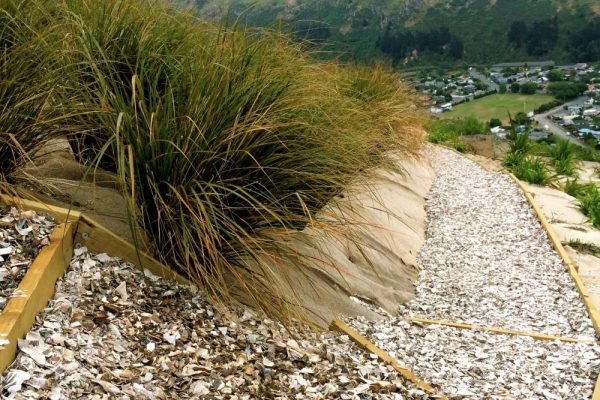 Shell path wind grass